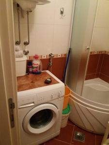 a bathroom with a washing machine and a shower at Kragić apartman in Soko Banja +9 photos