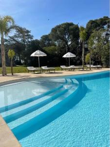 בריכת השחייה שנמצאת ב-Villa Di Noi או באזור
