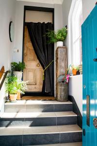 eine Tür mit einem Vorhang in einem Zimmer mit Pflanzen in der Unterkunft The green house in Portsmouth
