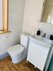 a bathroom with a toilet and a sink at Lūšių vėjas in Palūšė