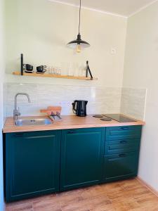 a kitchen with blue cabinets and a sink at Lūšių vėjas in Palūšė