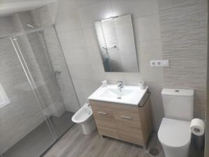 a bathroom with a toilet and a sink and a shower at Alojamiento Costas Bueu in Bueu +18 photos
