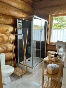 Bathroom sa Jedlina - naturalny dom z bali jodłowych