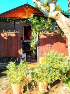 uma casa com vasos de plantas em frente em La Verdosa em Tigre