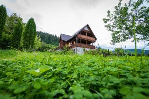a house in the middle of a field of grass at Chalet M in Lunca Bradului
