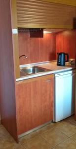 een keuken met een wastafel en een magnetron bij Hotel Akti in Leptokarya