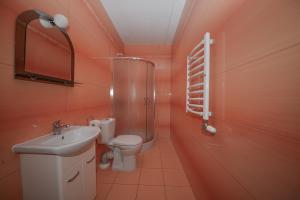 a bathroom with a shower and a toilet and a sink at Agroturystyka Nad Stawem in Górno +28 photos
