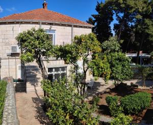 a house with trees in front of it at Villa Arancia in Dubrovnik +16 photos