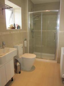 a bathroom with a shower and a toilet and a sink at Easter Bowhouse Farm Cottage in Linlithgow