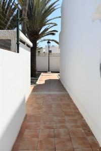 a pathway with a white wall and a palm tree at La Casita del Sol in Corralejo