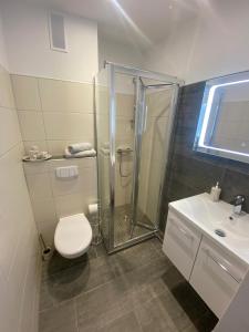 een badkamer met een douche, een toilet en een wastafel bij Meeresbrise 2 in Norden