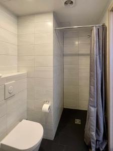a bathroom with a toilet and a shower at Aisa Studio in Pärnu