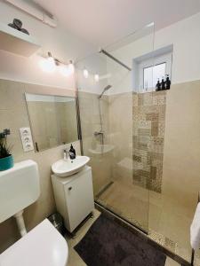 a bathroom with a shower and a toilet and a sink at Little cute homey apartman in Satu Mare
