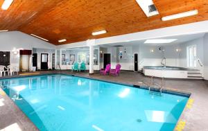 una gran piscina con sillas moradas en una habitación en Cedar Lodge Motel, en Goderich
