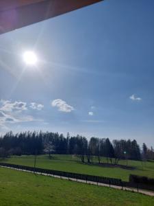 Przyroda w pobliżu tego apartamentu