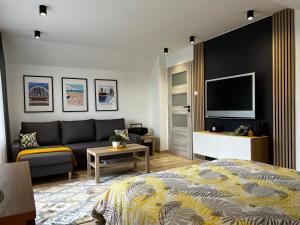 - une chambre avec un lit, un canapé et une télévision dans l'établissement Domek Kamień, à JeleÅ„ska Huta