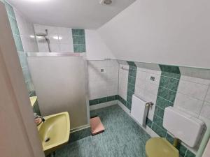シギショアラにあるPensiunea Otiliaのバスルーム(黄色の洗面台、トイレ付)