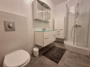 a bathroom with a toilet and a sink and a shower at BELLEVUE - Old Navalis in Stara Novalja
