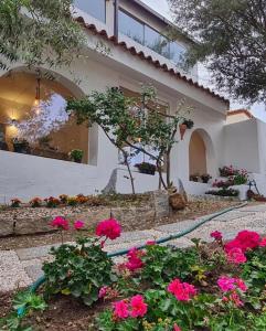 Κήπος έξω από το Il Salice b&b