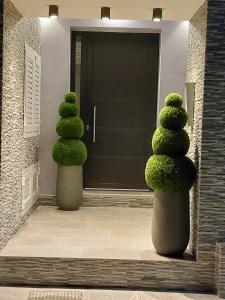 two bushes in vases in front of a door at ELITE LUXURY APARTMENTS in Argostoli