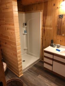 a bathroom with a shower and a toilet and a sink at Carries Cabin in Harpers Ferry