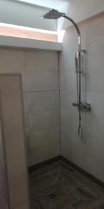 eine Dusche mit Duschkopf in einem Zimmer in der Unterkunft colmar in Horbourg