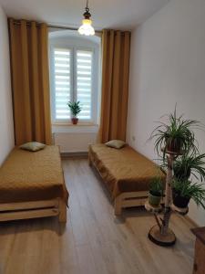 a room with two beds and a window at Apartament przy Zamku in Pszczyna