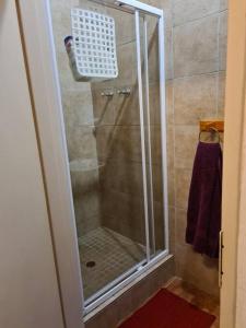 a shower in a bathroom with a glass door at Quaint, quiet retro charm in Johannesburg