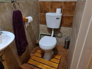 约翰内斯堡Quaint, quiet retro charm的带马桶和水槽的浴室