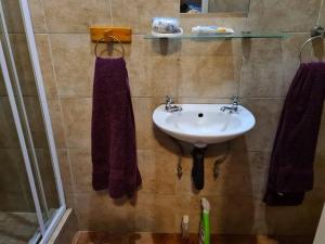 a bathroom with a sink and purple towels on the wall at Quaint, quiet retro charm in Johannesburg