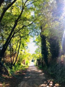 Foto dalla galleria di Villabett Caudiel está de moda a Caudiel