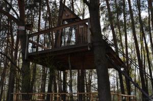 une cabane dans un arbre dans l'établissement Domek na Drzewie!, à Rudka Gołębska