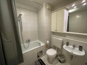 リュブリャナにあるApartment Green - Greyのバスルーム(トイレ、洗面台、バスタブ付)