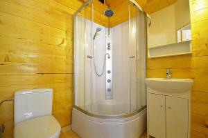 a bathroom with a shower and a toilet and a sink at Holiday resort in Pobierowo for 6 persons in Pobierowo
