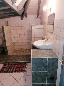 uma casa de banho com um lavatório e um espelho em Résidence BLEUE DE MER em Deshaies
