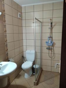 a bathroom with a toilet and a sink and a shower at Victoria's apartments Nesebar in Nesebar