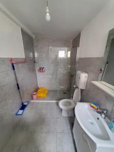 ein Bad mit einer Dusche, einem WC und einem Waschbecken in der Unterkunft Pearl Cottage Ada Bojana in Ulcinj