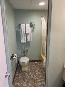 a bathroom with a toilet and a shower and towels at Town & Country Motel in Clinton
