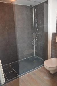 uma casa de banho com chuveiro e WC em La cave au chat'pitre / l'étable em Villers-le-Bouillet