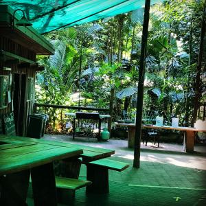 a patio area with tables, chairs and umbrellas at Daintree Crocodylus in Cow Bay