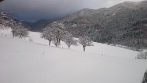 Una colina cubierta de nieve con árboles encima. en Wehrlemartinshof, en Simonswald