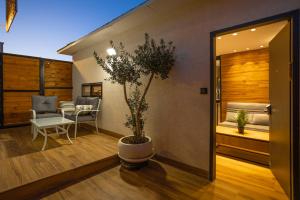 a living room with a potted plant and a table at orel's Top apartment in Eilat