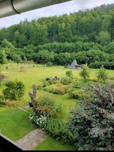 Fotografie z fotogalerie ubytování Apartmenthaus Jörn v destinaci Wieda