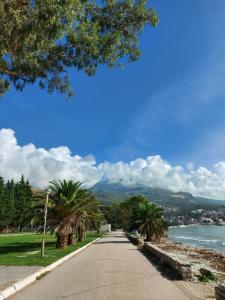 a street with palm trees on the side of a road at Panoramic Bliss in Herceg Novi in Herceg-Novi