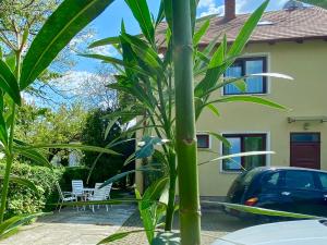 A garden outside Home Sweet Apartment XL