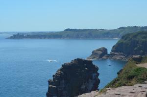a bird flying over a large body of water at Sables d'or Bel Appartement 300 m de la plage in Frehel +2 photos