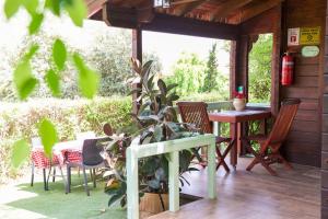 eine Terrasse mit einem Tisch, Stühlen und einer Pflanze in der Unterkunft Eden Ramot Chalets in Moshav Ramot
