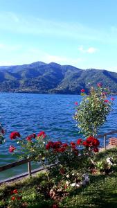 a view of a large body of water with red roses at Lejla apartmani - Jablaničko jezero in Konjic