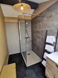 a bathroom with a shower with a glass door at La Canopée in Cholet