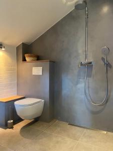 a bathroom with a toilet and a shower at Haystackcottage in Paterswolde